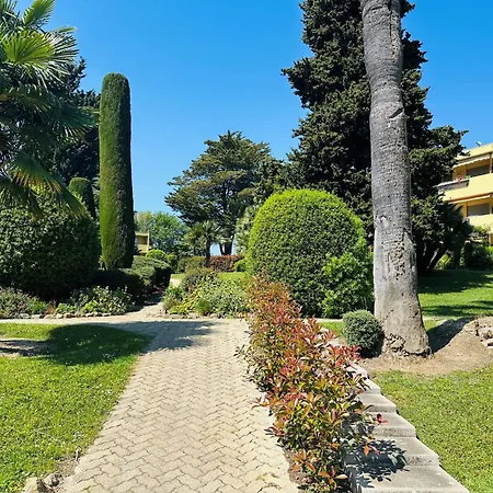 Myrtales Juan-les-Pins